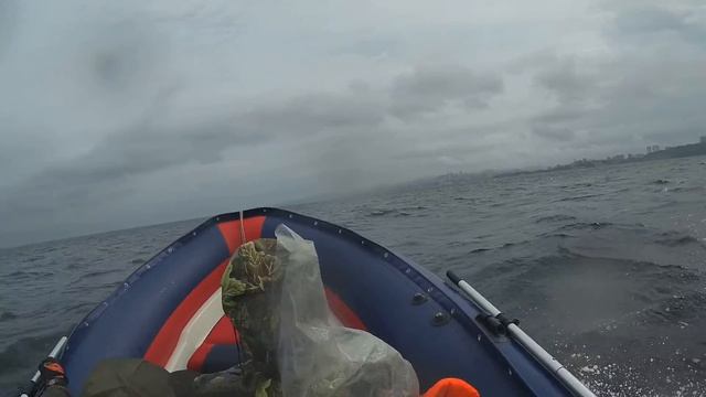 Форстис 450 в Амурском заливе смотреть онлайн