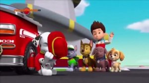 Цвета и персонажи мультфильма Щенячий Патруль.Все герои мультфильма Щенячий патруль