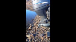 Отзыв и испытания тоннельной лодки GOONCH jet 480 из Горного Алтая