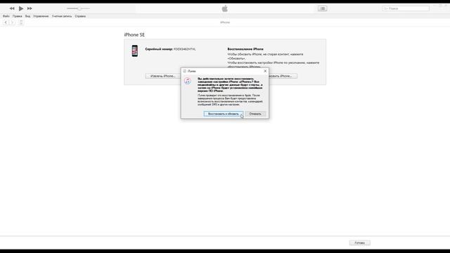 Откат IOS 13 Beta 1 до стабильной версии IOS 12.3.1 программой ITunes