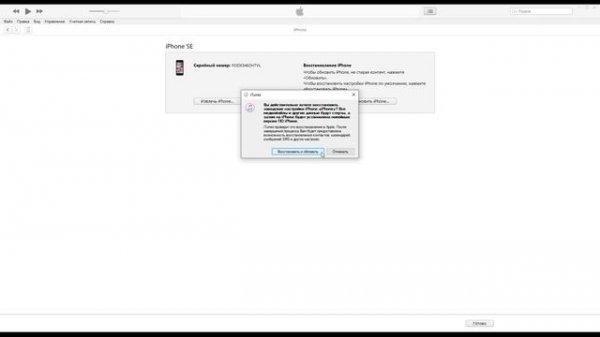 Откат iOS 13 Beta 1 до стабильной версии iOS 12.3.1 программой iTunes