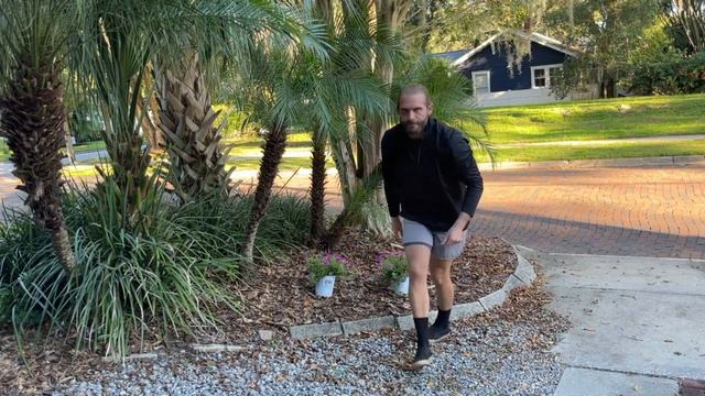 Planting Supertunias | Low Maintenance Annuals | Garden Bed Makeover | Proven Winners