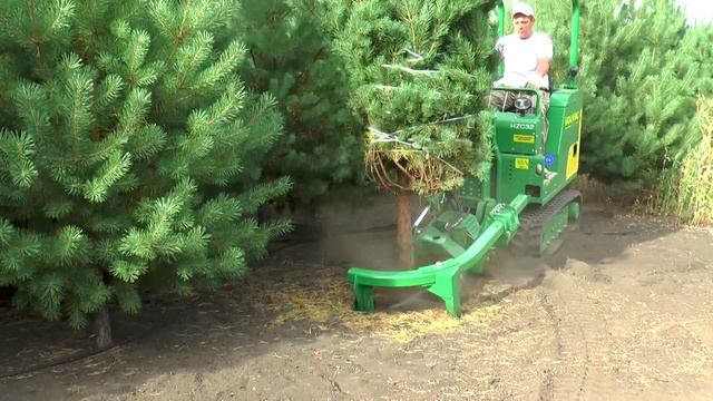 Питомник растений "СЕЗОНЫ"(Воронежская обл.) смотреть онлайн