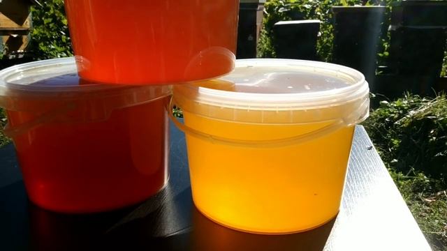 Почему мёд разный? смотреть онлайн