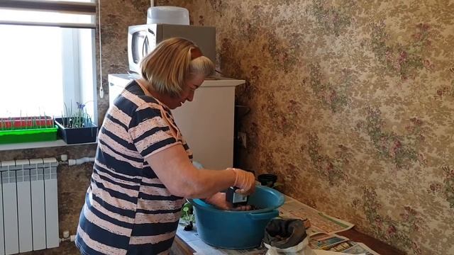 Воскресные хлопоты. смотреть онлайн