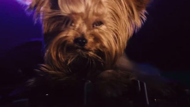 МиЛя Чё Ты Такой смотреть онлайн