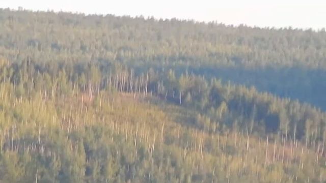 Тест зума камеры Nikon Coolpix L820 (Video Test 2014 Camera) смотри парень!