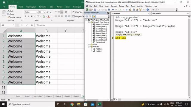 #excelvba #excelvbatutorial Copy & Paste in Vba Macro Programming specially for Beginner смотреть онлайн