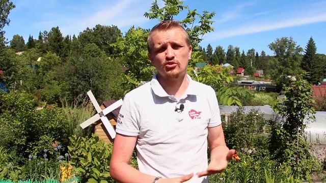 ЭТО ПОЛЕЗНОЕ БЛЮДО МОЖНО ЕСТЬ ДАЖЕ ТЕМ КТО ХУДЕЕТ! смотреть онлайн