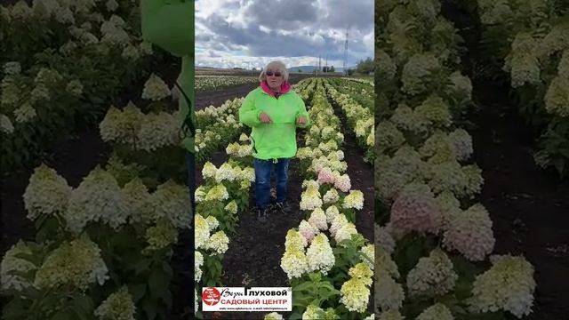 Последний день работы интернет-магазина смотреть онлайн