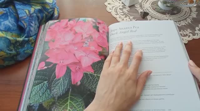 Цветы 🌸🌸🌸 гортензии смотреть онлайн