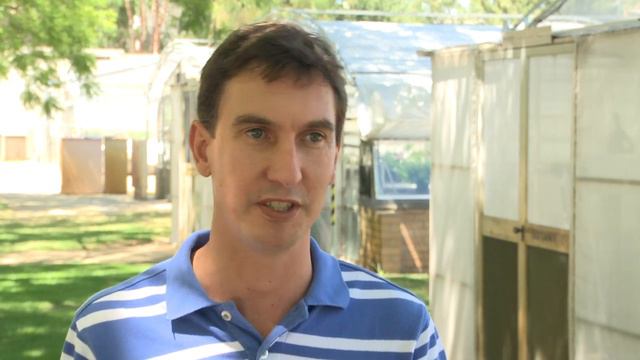 GCTV7: Continuous Cereal Cropping