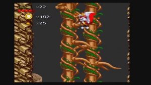 Mr. Nutz (Sega)