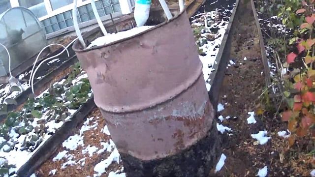 Как укрывать персики в Сибири смотреть онлайн