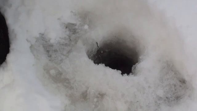 Клёвое место. Налим. #6 смотреть онлайн