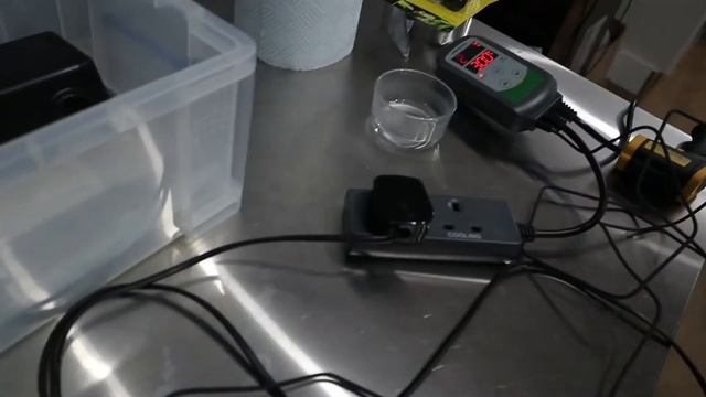 How to Care for a Ball Python - Set Up and Equipment смотреть онлайн