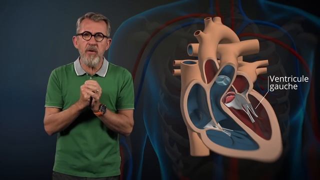 Le fonctionnement du cœur expliqué par Jamy смотреть онлайн