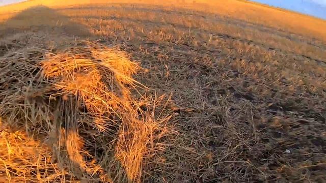 Охота 2022. Начистил ствол и давай стрелять. Лучшие налеты уток 2022. Охота с махокрылами. смотреть онлайн