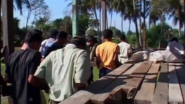 Trailer Playing between Elephants смотреть онлайн