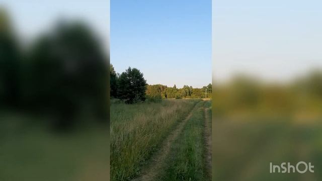 4,8 га земли! смотреть онлайн