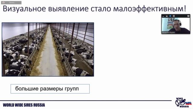 15.03 Богдан Александр «Современная практика эффективного воспроизводства КРС» смотреть онлайн