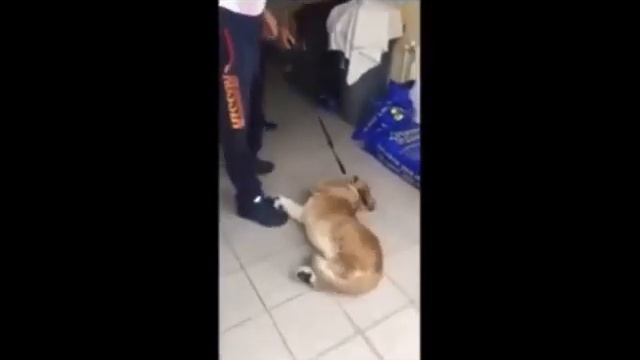 Обращение к хейтерам, клеветникам и сплетникам смотреть онлайн