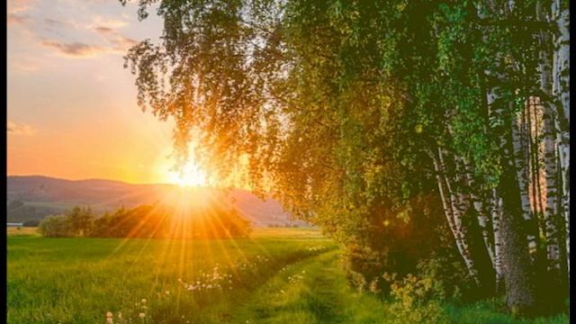 Cover на песню "Березы" смотреть онлайн