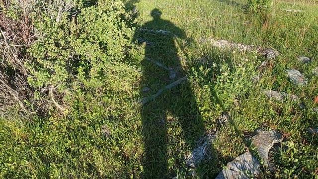 Metal detecting homesteads in the mountains. | Ep 208 #metaldetecting #treasure #manticore смотреть онлайн