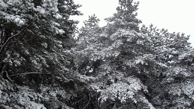 26 января народный праздник Еремин день. Ермилин день. Что можно и нельзя делать. Народные приметы смотреть онлайн