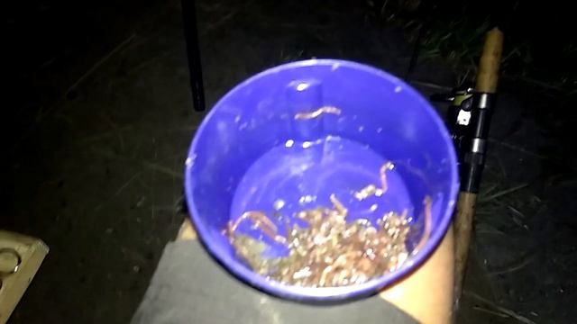 Часть 2 Ловля подлещика ночью на фидер на реке Оскол в районе с.Канцедаловка смотреть онлайн
