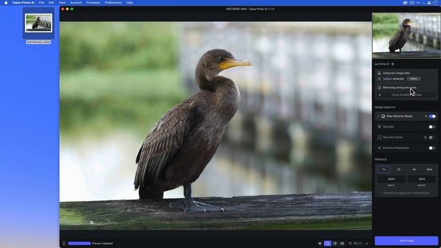 Topaz Photo AI Quick Start Video смотреть онлайн
