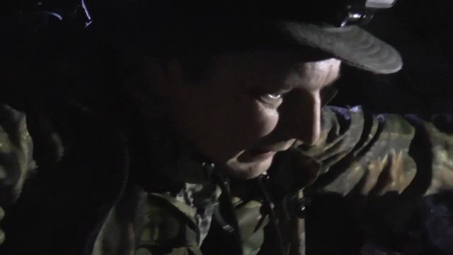 Канюки и летучие мыши