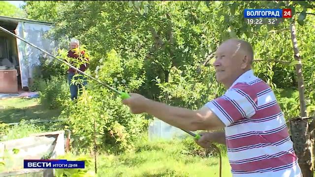 Волгоградские дачи атаковала тля смотреть онлайн