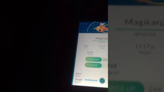 Magikarp evolution-Gargados смотреть онлайн