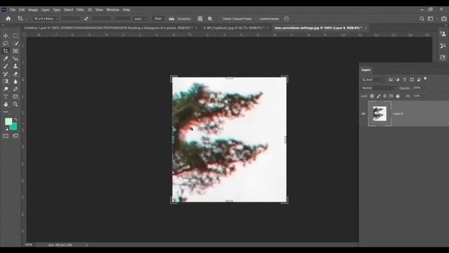 Camera Raw Filter in Photoshop | Explained in Hindi | Free Graphic Design Tutorial. смотреть онлайн