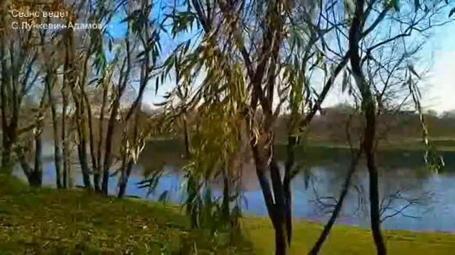 Сеанс регрессии ВОЗВРАЩЕНИЕ СВОЕЙ СИЛЫ смотреть онлайн