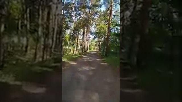 Подготовка к 36-часовому сухому голоданию. Анна Якуба, 11.06.2020г. смотреть онлайн