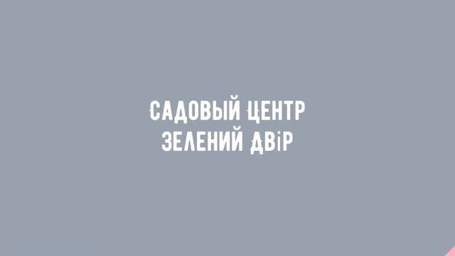 Садовый Центр Зелений Двір - Яблоня Флорина с ЗКС смотреть онлайн