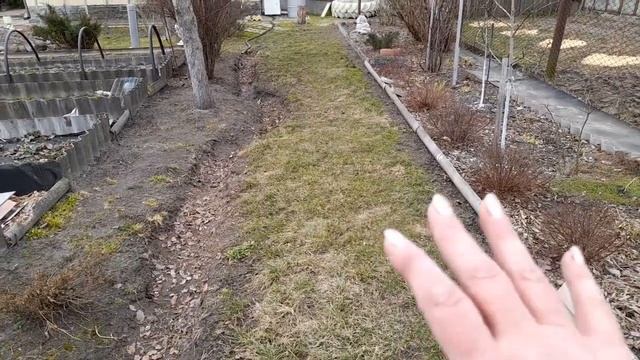 21 марта 2023 г Стрижка туи. Дрова. Красавец огород. Немного о собаках смотреть онлайн