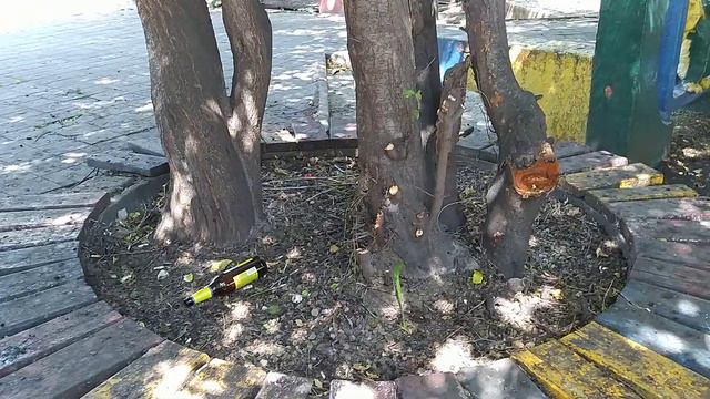 БОМЖАТНИК и БОЛОТО в центре АНАПЫ ❗️❗️❗️ ГДЕ ЖКХ??? С ума что ли сошли? Это курорт?