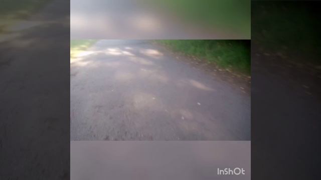 Никтв 2023 Поездка в Магдлнальдс С Катеи Купили Бургер да и короткую фри #45666