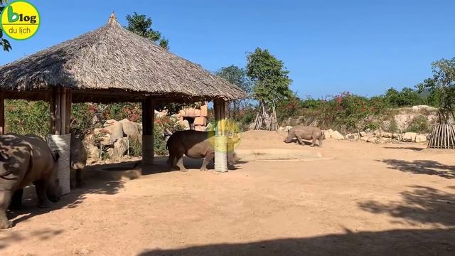 Đến Vinpearl Land Nha Trang chơi gì vui nhất | Giá vé Vinpearl Land Nha Trang áp dụng mới nhất смотреть онлайн