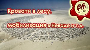 Кровати в лесу, бегущие от мобилизации в Неваду и не только