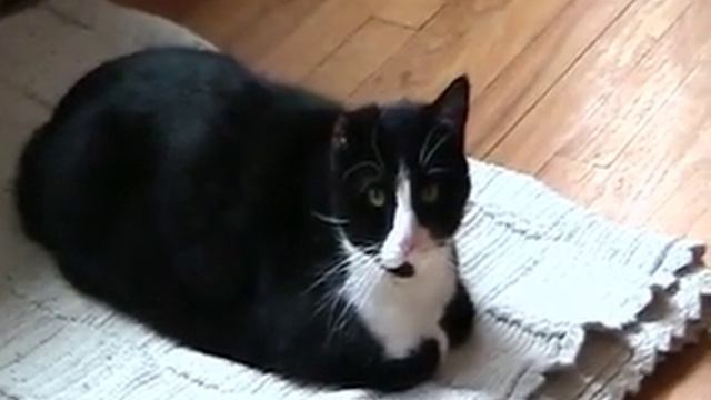 Canon FS200 Quality Test смотреть онлайн