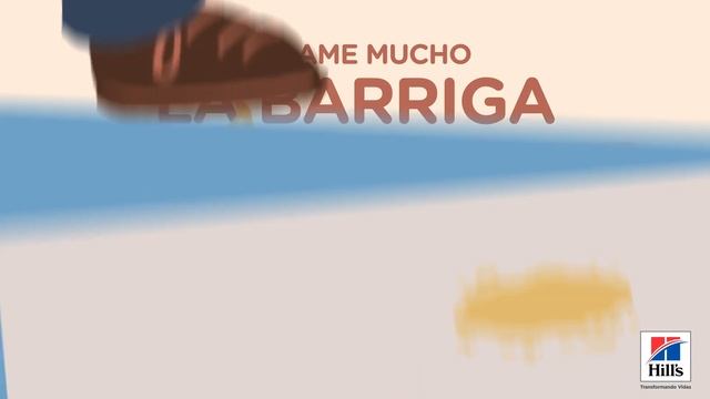 Hill’s Prescription Diet | Urinary & Kidney Care - Señales de problemas urinarios смотреть онлайн