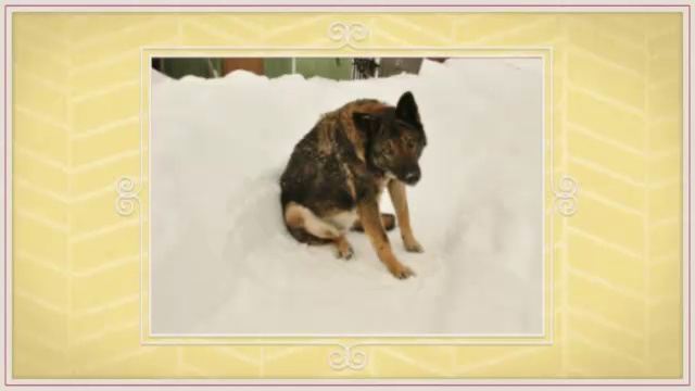 Декоративное и красочное обрамление фотографий. Видео из фото смотреть онлайн