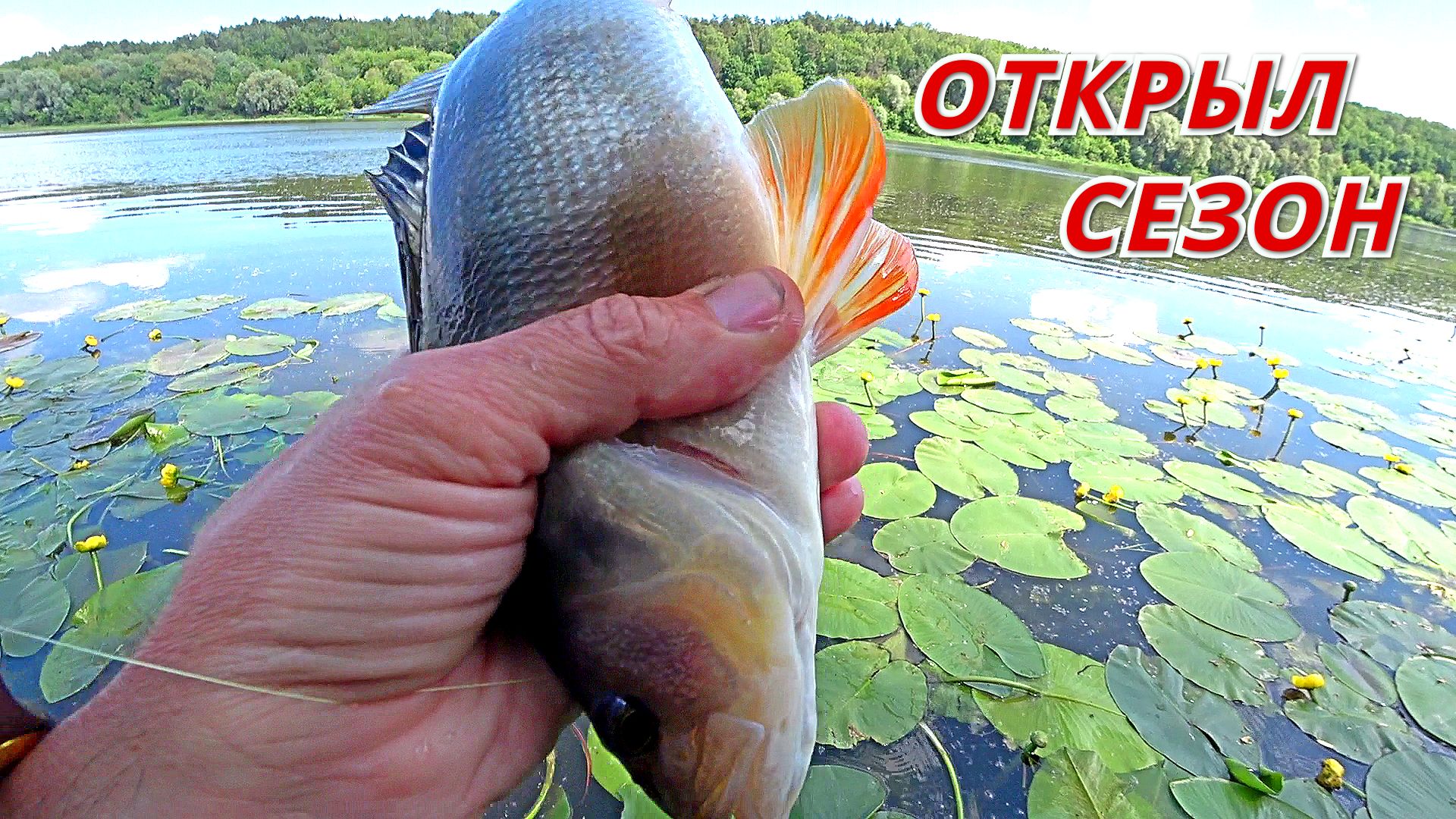 ОТВОДНОЙ ПОВОДОК и СЪЕДОБКА сделали рыбалку. ХОРОШИЙ ОКУНЬ открыл сезон спиннинга на ОКЕ. смотреть онлайн