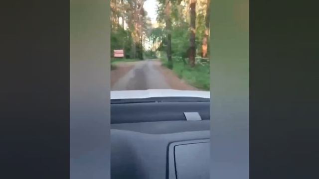 как добраться до Питбайк гараж Ярославль смотреть онлайн