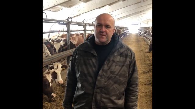 Отзыв об использовании экструдера Экспро М в производстве корма для КРС. смотреть онлайн