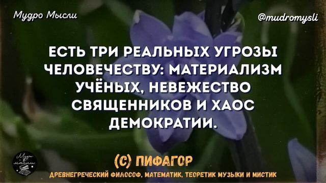 Пифагор, Очень Мудрые Цитаты Которые Научат Вас быть Мудрее! Цитаты и Афоризмы смотреть онлайн